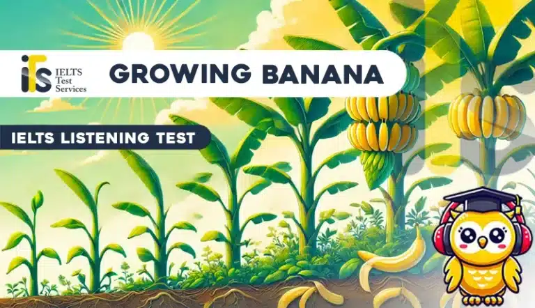 Commercially grown banana Plant IELTS Listening Mock Test Simulator - Solved Answer Online - ieltstest.services - IELTS TEST SERVICES