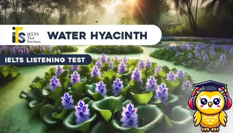 Water hyacinth Listening Mock Test Simulator - Solved Answer Online - ieltstest.services - IELTS TEST SERVICES - ITS